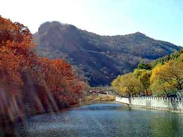 新澳天天开奖资料大全旅游团，白菊花价格